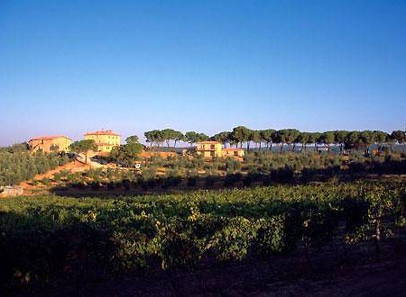 Villa Il Tesoro Massa Marittima Buitenkant foto